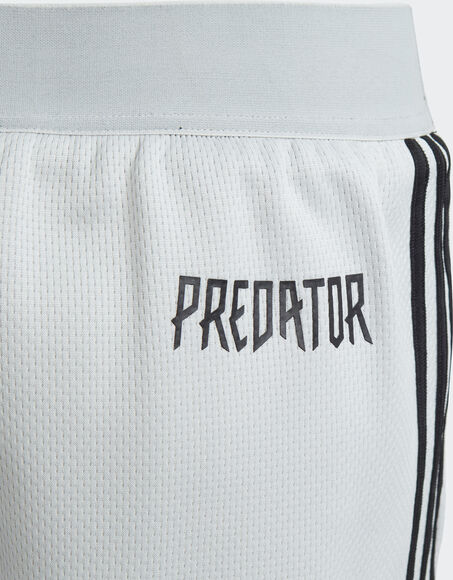 Predator 3S shorts junior