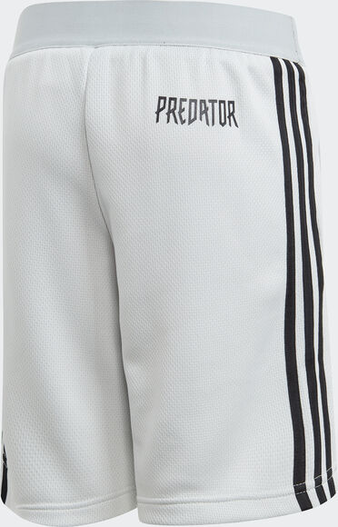 Predator 3S shorts junior