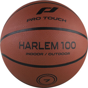Harlem 100 basketball